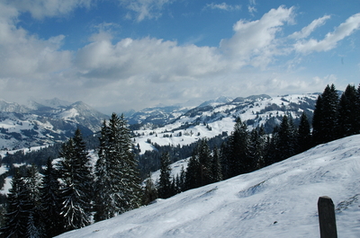 Swiss_0316.JPG